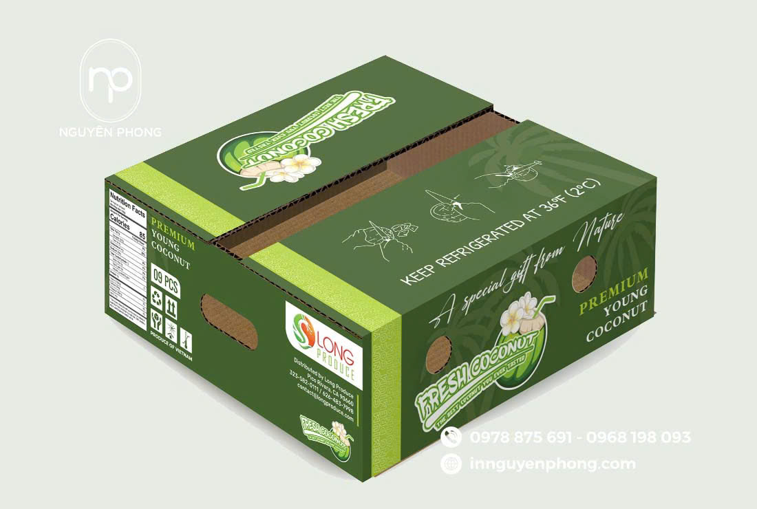 Mẫu khay giấy trái cây thiết kế bắt mắt